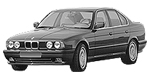 BMW E34 P135F Fault Code